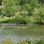 Property photo for land for sale in Bowie County Texas