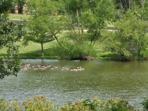 Property photo for land for sale in Bowie County Texas