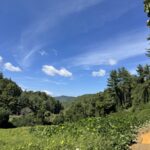 Property photo for land for sale in Madison County North Carolina