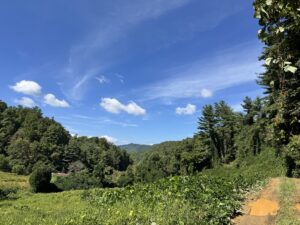 Property photo for land for sale in Madison County North Carolina