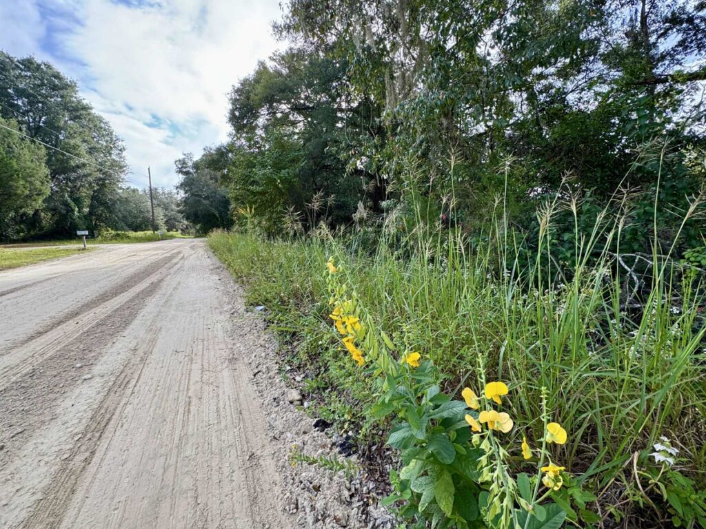 Property photo for land for sale in Gilchrist County Florida