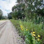 Property photo for land for sale in Gilchrist County Florida