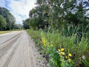 Property photo for land for sale in Gilchrist County Florida