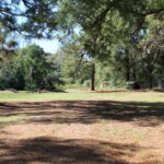 Property photo for land for sale in Bowie County Texas