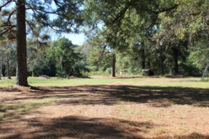 Property photo for land for sale in Bowie County Texas