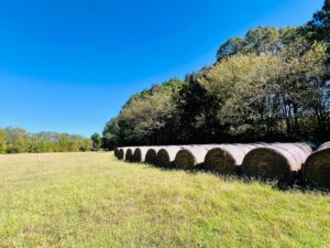 Property photo for land for sale in Marshall County Mississippi
