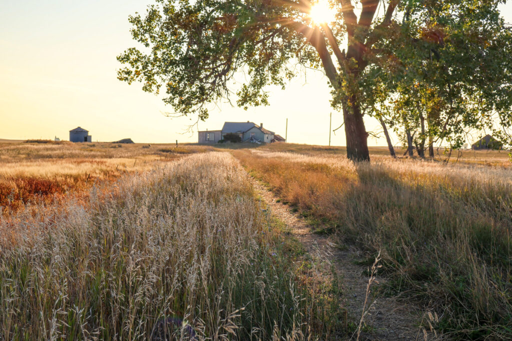 Property photo for land for sale in Phillips County Montana