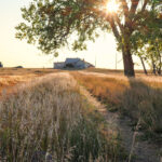 Property photo for land for sale in Phillips County Montana