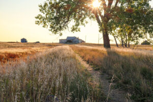 Property photo for land for sale in Phillips County Montana