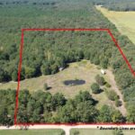 Property photo for land for sale in Bowie County Texas