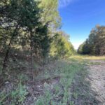 Property photo for land for sale in Fulton County Arkansas
