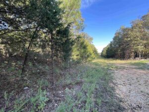 Property photo for land for sale in Fulton County Arkansas