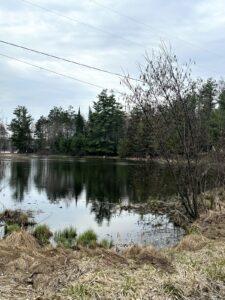 Property photo for land for sale in Montmorency County Michigan