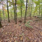 Property photo for land for sale in Newton County Arkansas