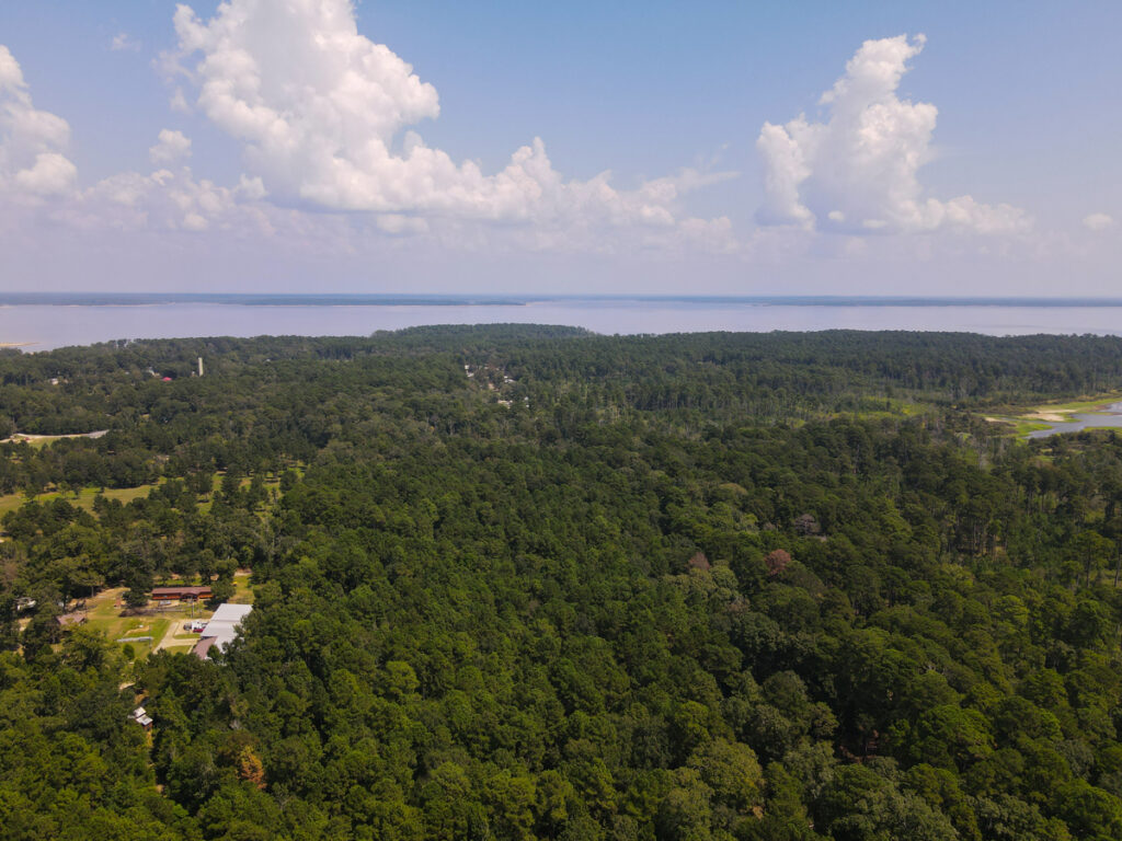 Property photo for land for sale in Angelina County Texas