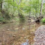 Property photo for land for sale in Winston County Mississippi