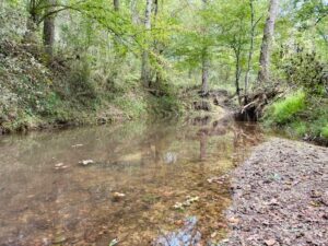 Property photo for land for sale in Winston County Mississippi