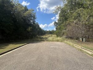 Property photo for land for sale in Dallas County Alabama
