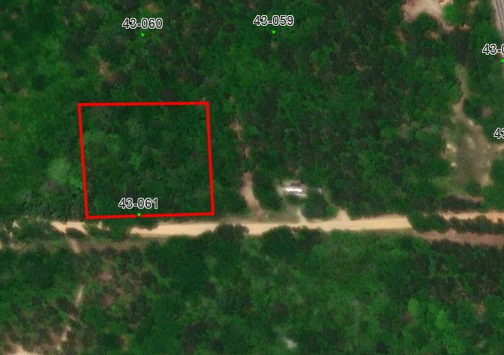 Property photo for land for sale in Lee County Alabama