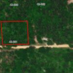 Property photo for land for sale in Lee County Alabama