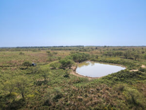 Property photo for land for sale in Montague County Texas