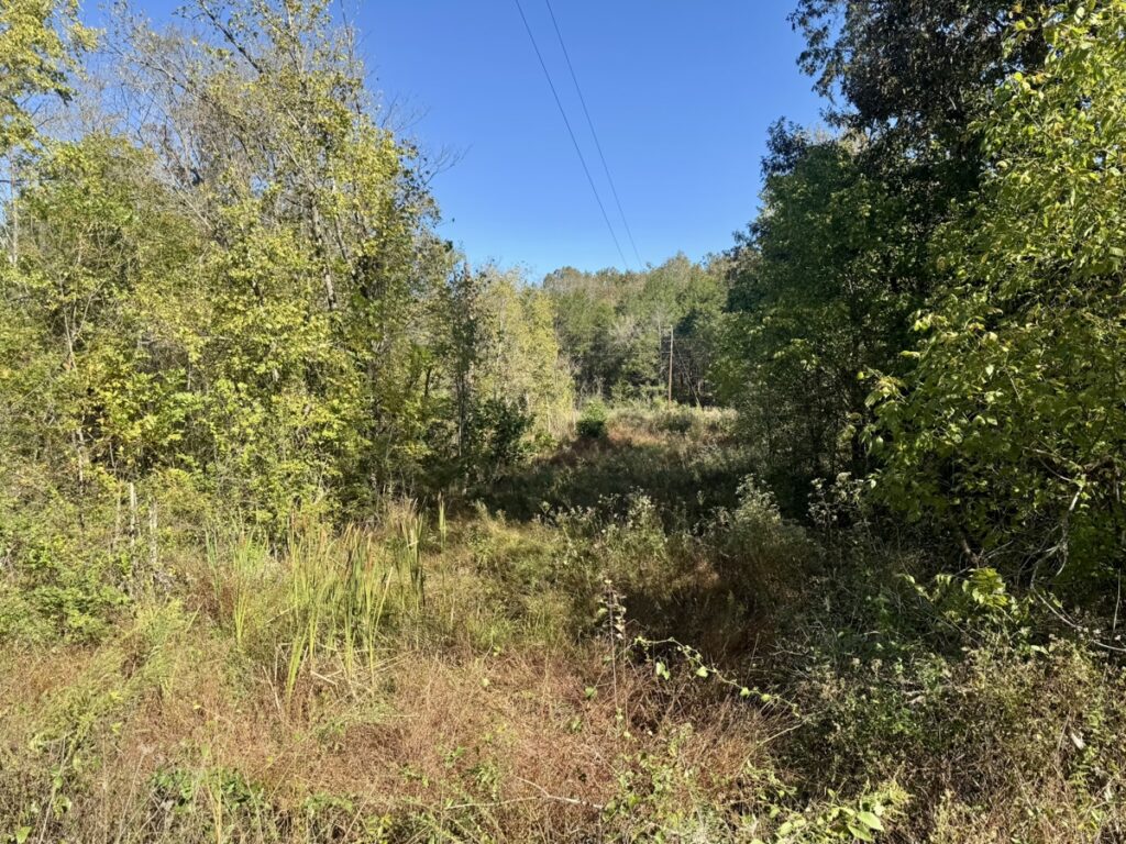 Property photo for land for sale in Izard County Arkansas