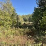 Property photo for land for sale in Izard County Arkansas