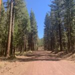 Property photo for land for sale in Modoc County California