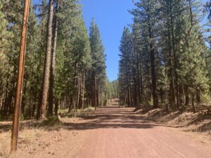 Property photo for land for sale in Modoc County California