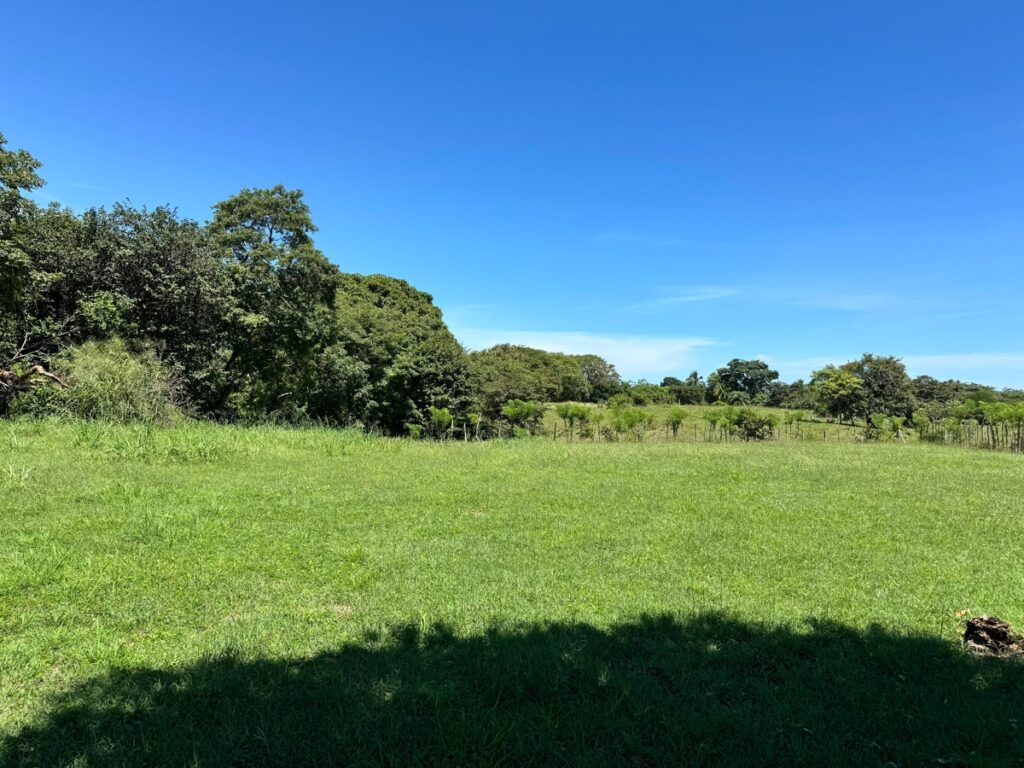 Property photo for land for sale in County Panama