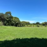 Property photo for land for sale in  County Panama
