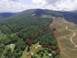 Property photo for land for sale in Grayson County Virginia