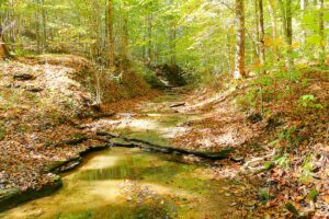 Property photo for land for sale in Metcalfe County Kentucky