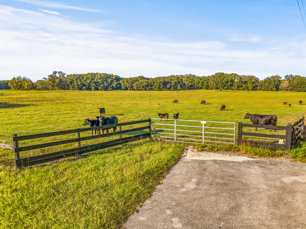 Property photo for land for sale in Alachua County Florida