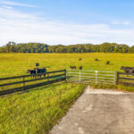 Property photo for land for sale in Alachua County Florida