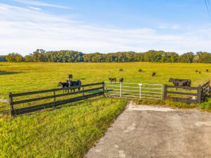 Property photo for land for sale in Alachua County Florida