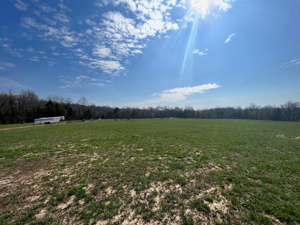 Property photo for land for sale in Gibson County Tennessee