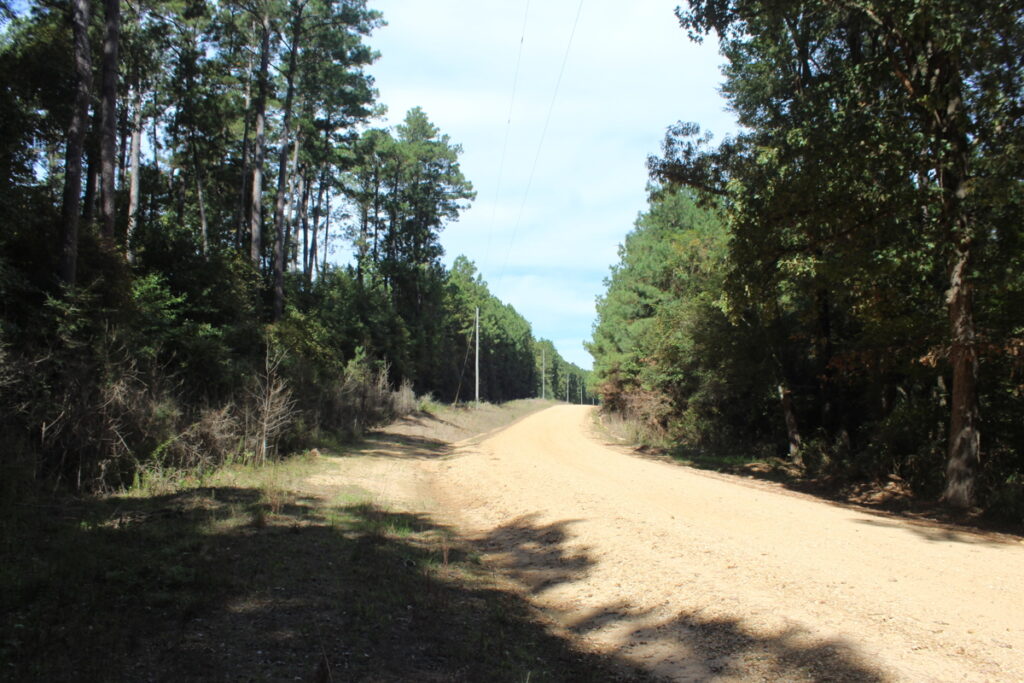 Property photo for land for sale in Amite County Mississippi