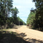 Property photo for land for sale in Amite County Mississippi