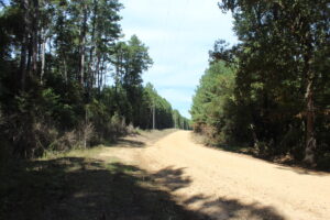 Property photo for land for sale in Amite County Mississippi