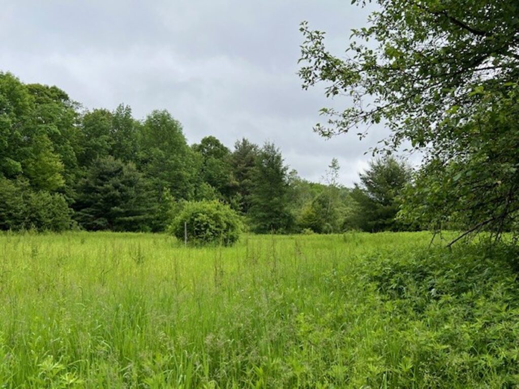Property photo for land for sale in Herkimer County New York