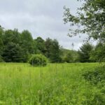 Property photo for land for sale in Herkimer County New York