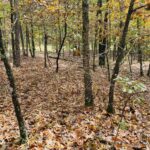 Property photo for land for sale in Izard County Arkansas