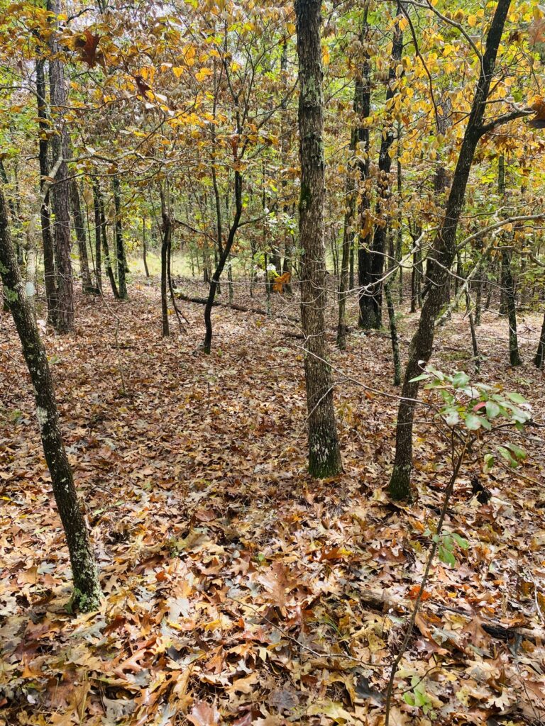 Property photo for land for sale in Izard County Arkansas