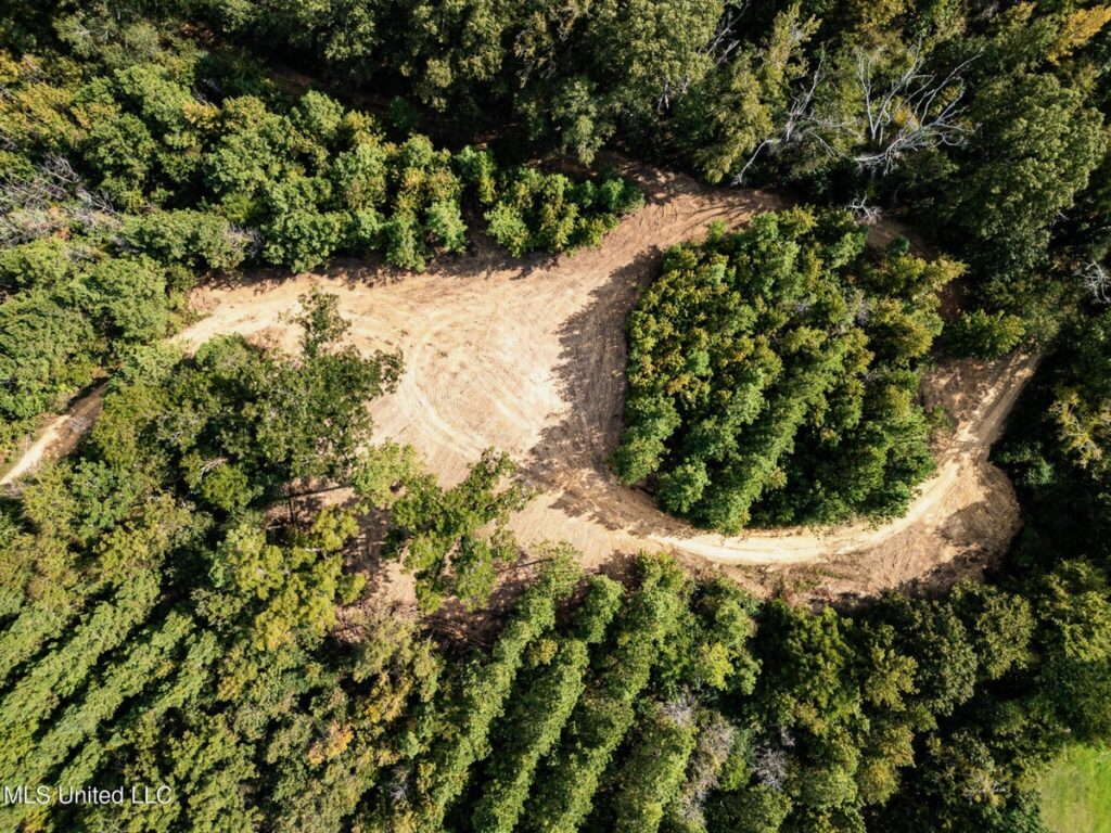 Property photo for land for sale in Claiborne County Mississippi