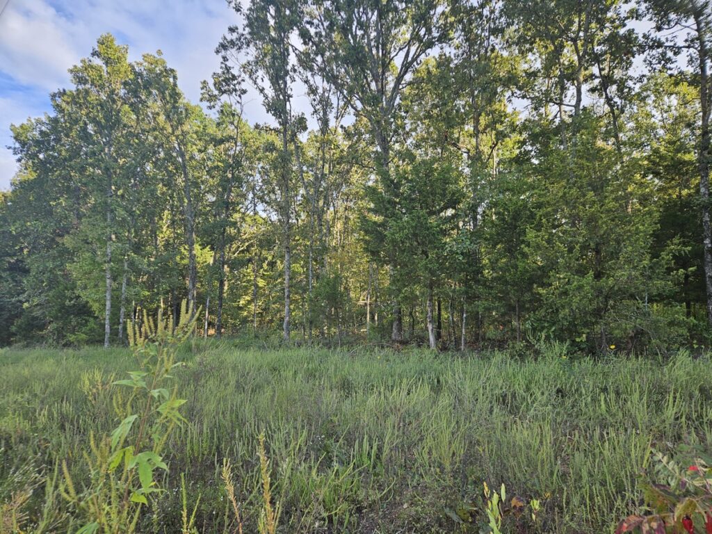 Property photo for land for sale in Ozark County Missouri