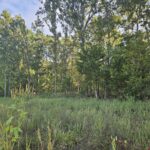 Property photo for land for sale in Ozark County Missouri