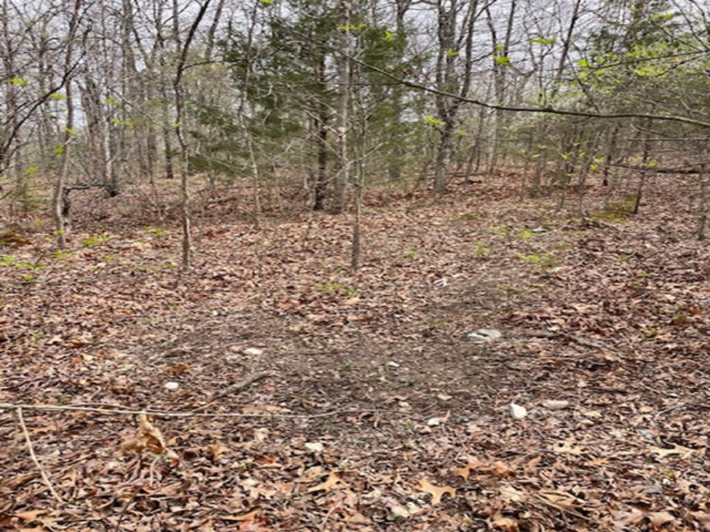 Property photo for land for sale in Marion County Arkansas