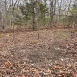 Property photo for land for sale in Marion County Arkansas