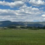 Property photo for land for sale in Rio Arriba County New Mexico